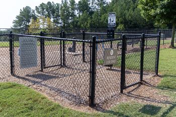 Fenced dog park
